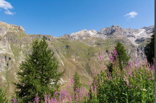 3pnv026292-PN-Vanoise-Mylene_Herrmann-2000px.JPG 