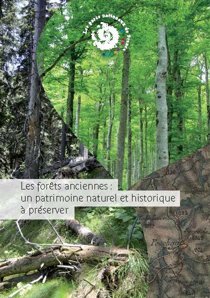 foret_ancienne_generale_web_page_1.jpg