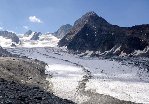 Photo exhibition "Le gypaète barbu, patrouilleur des parois"_Pralognan-la-Vanoise