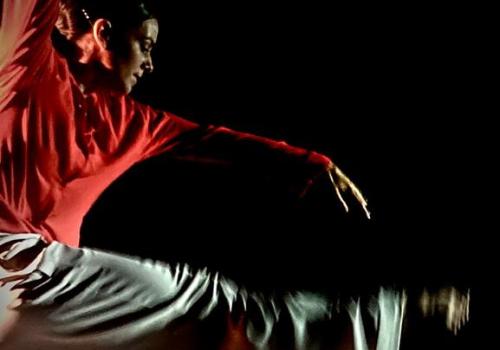 Spectacle de Danse "Wilfried"_Peisey-Nancroix