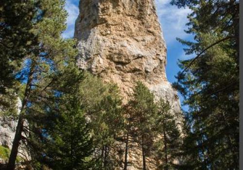 Les secrets de la forêt du Monolithe_Val-Cenis