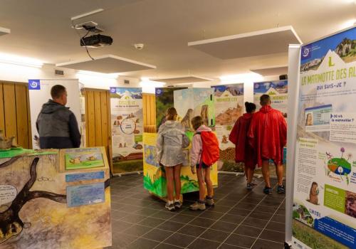 Visite commentée de l'exposition "La tribu des marmottes"_Val-Cenis - Visite commentée de l'exposition "La tribu des marmottes"