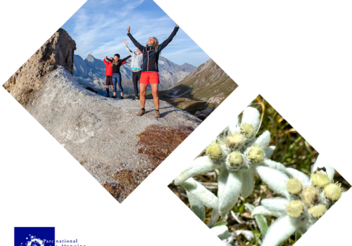 Photo paysage - Balade botanique et bien-être zen - Photo paysage - Balade botanique et bien-être zen