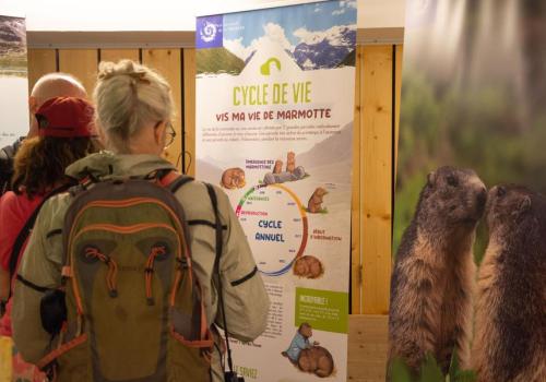 Exposition La Tribu des Marmottes_Val-Cenis - Exposition La Tribu des Marmottes