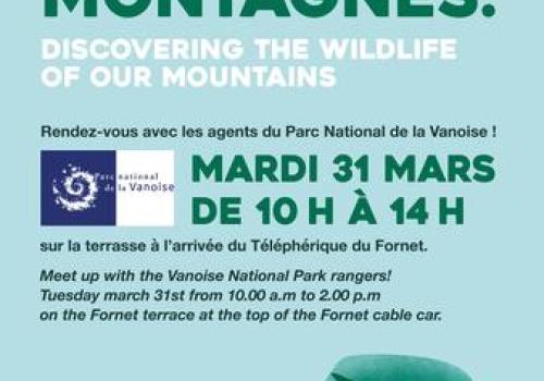 Discovering the wildlife of our mountains_Val-d'Isère - Affiche découverte de la faune de nos montagnes