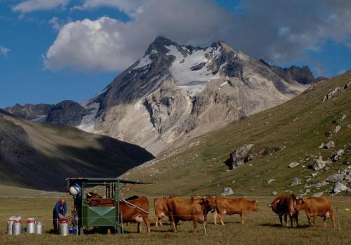 Exposition "Le Pastoralisme en Vanoise"_Aussois