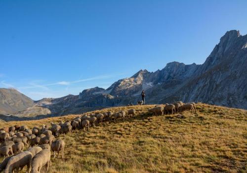 Exposition "Le Pastoralisme en Vanoise"_Val-Cenis