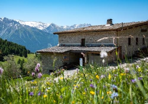 Refuge de l'Orgère - Refuge de l'Orgère