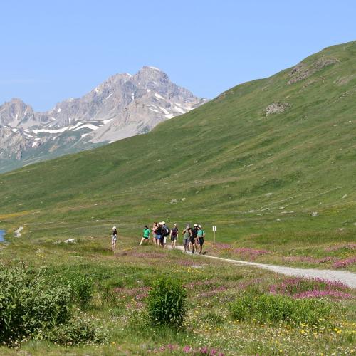 Réserve naturelle nationale de la Grande Sassière