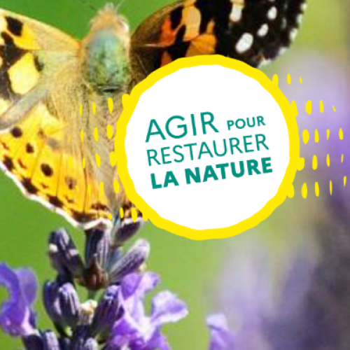 Agir pour restaurer nature 2025