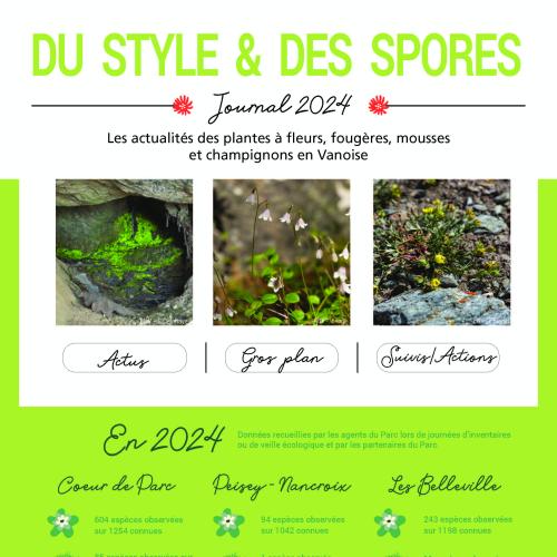 couv style
