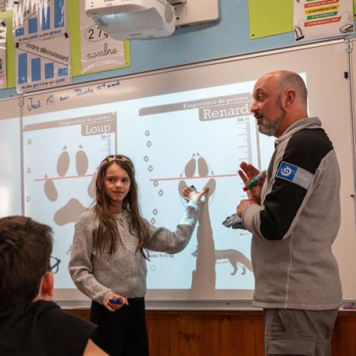 Enfant au tableau dans une classe, montant une empreinte de canidé