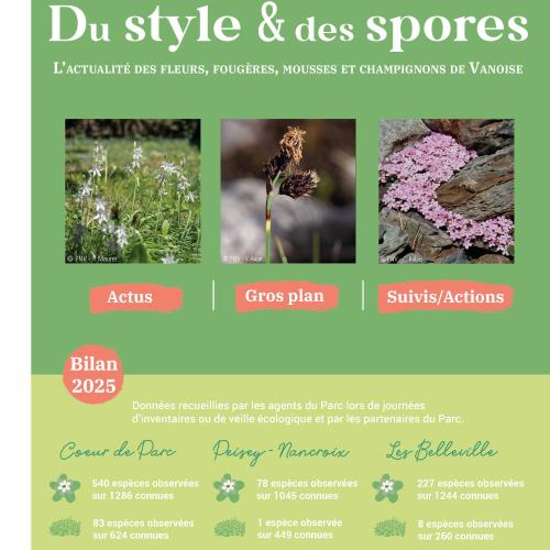 couv style et spore