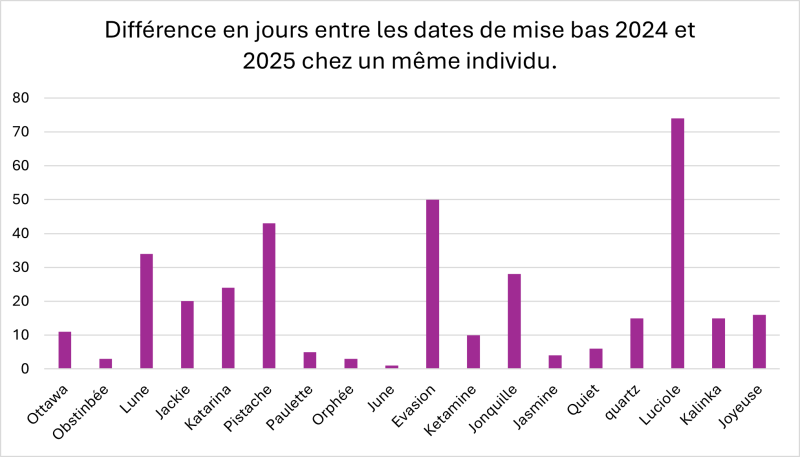 Plasticité