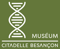 Logo citadelle de besançon