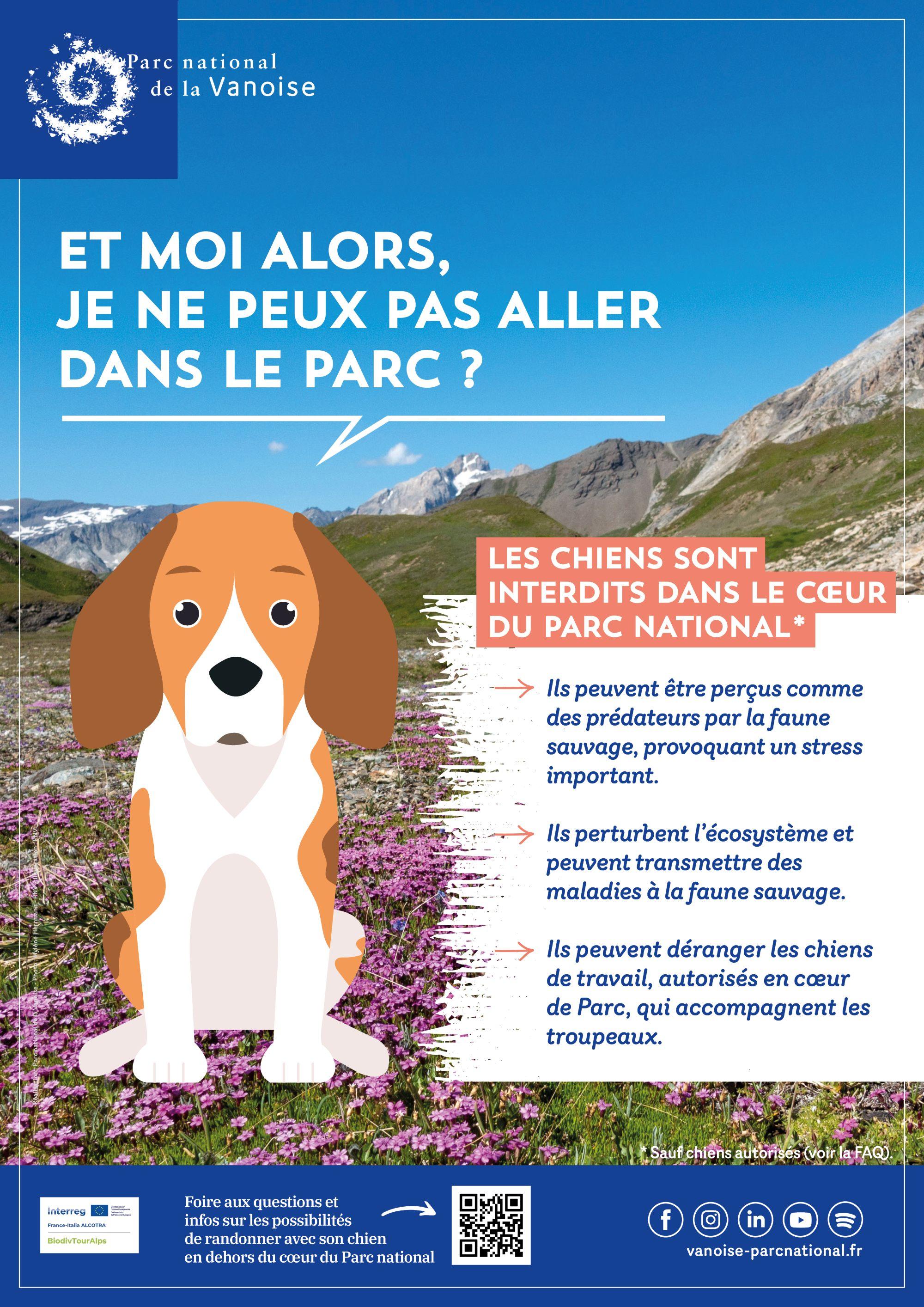 Affiche chien Parc national de la Vanoise