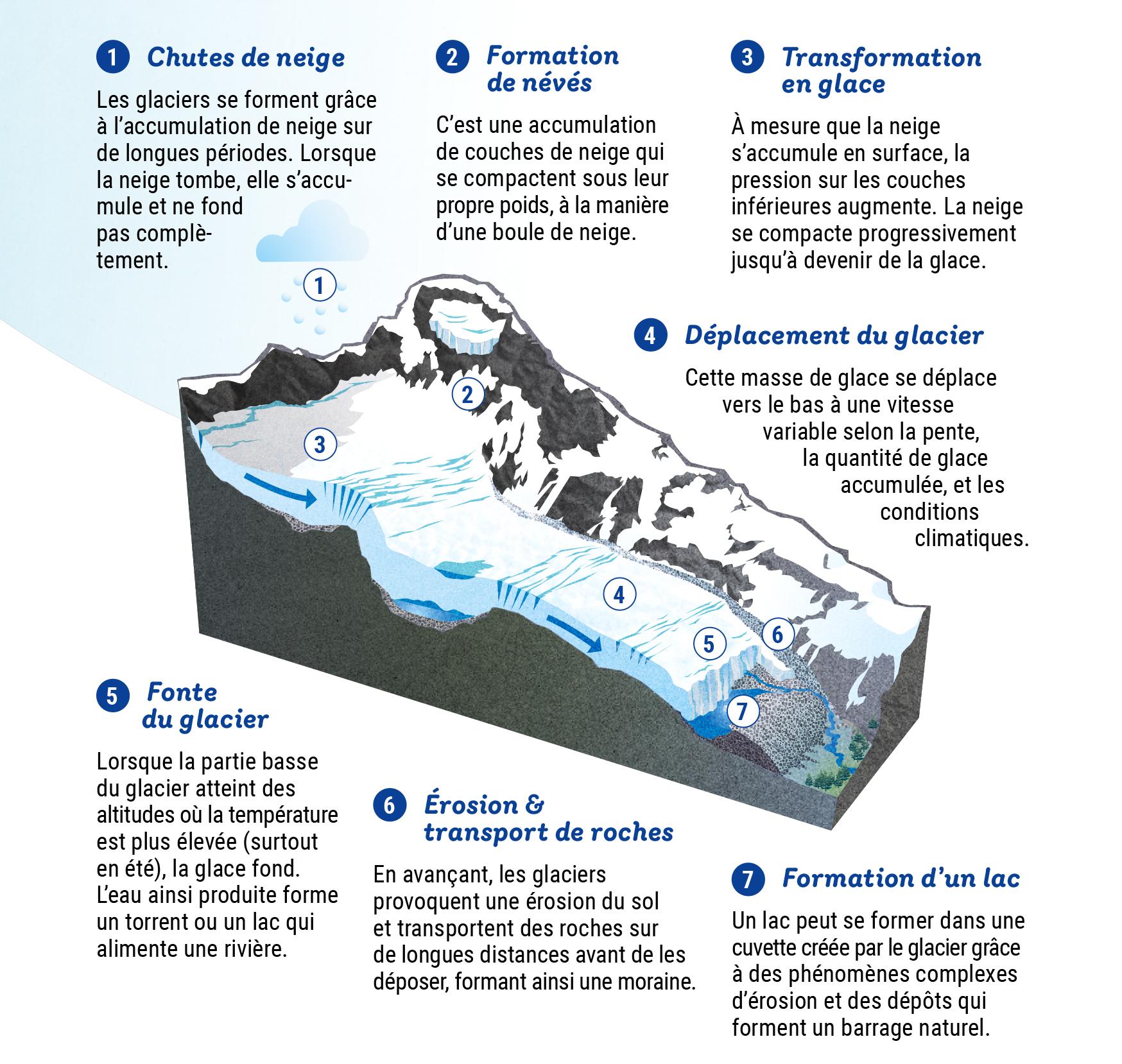 Schéma formation des glaciers