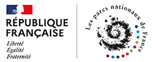 Logo PNF Marianne.png 