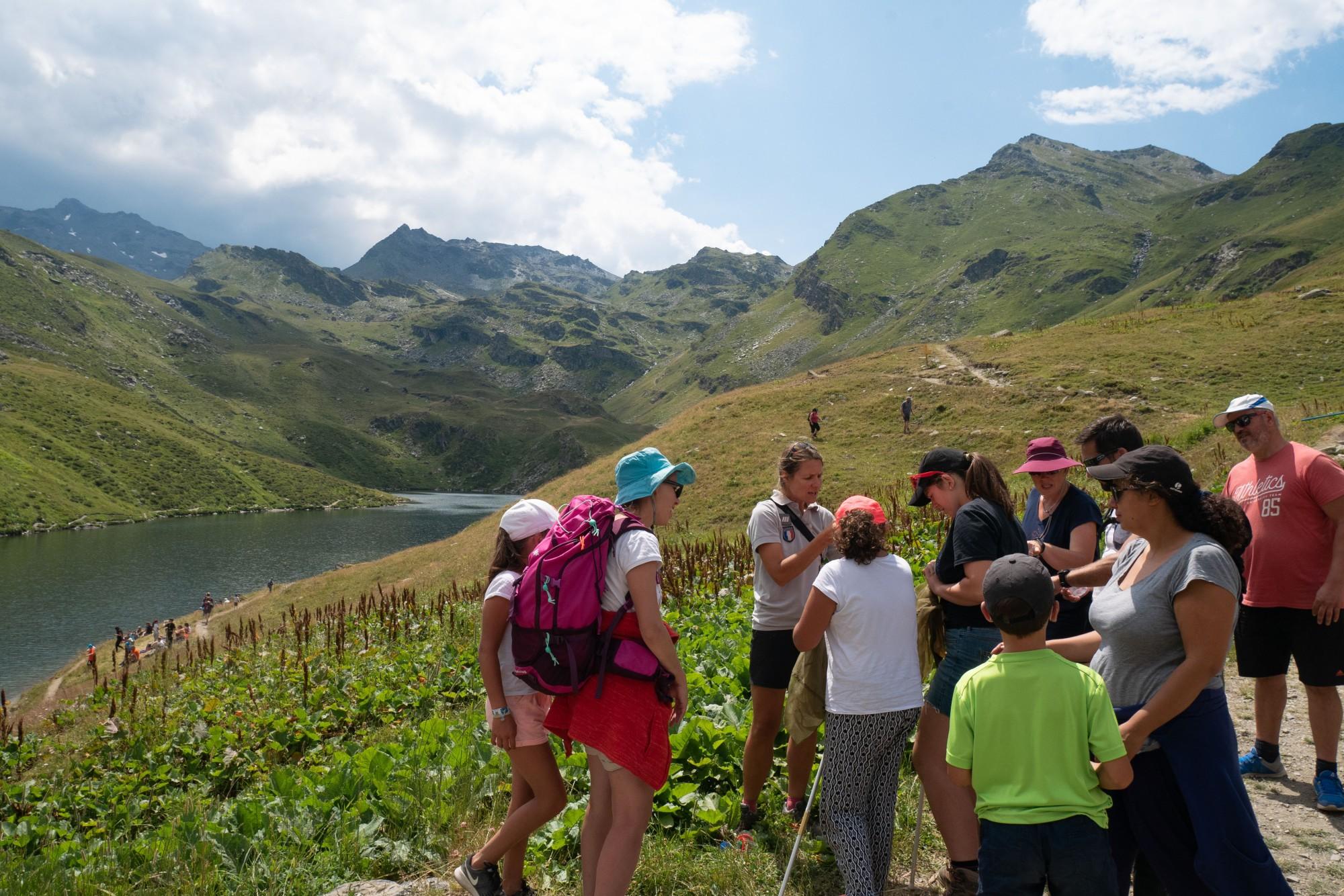 Animation PNV sur les insectes lors d'un point-rencontre au refuge du Lac du Lou