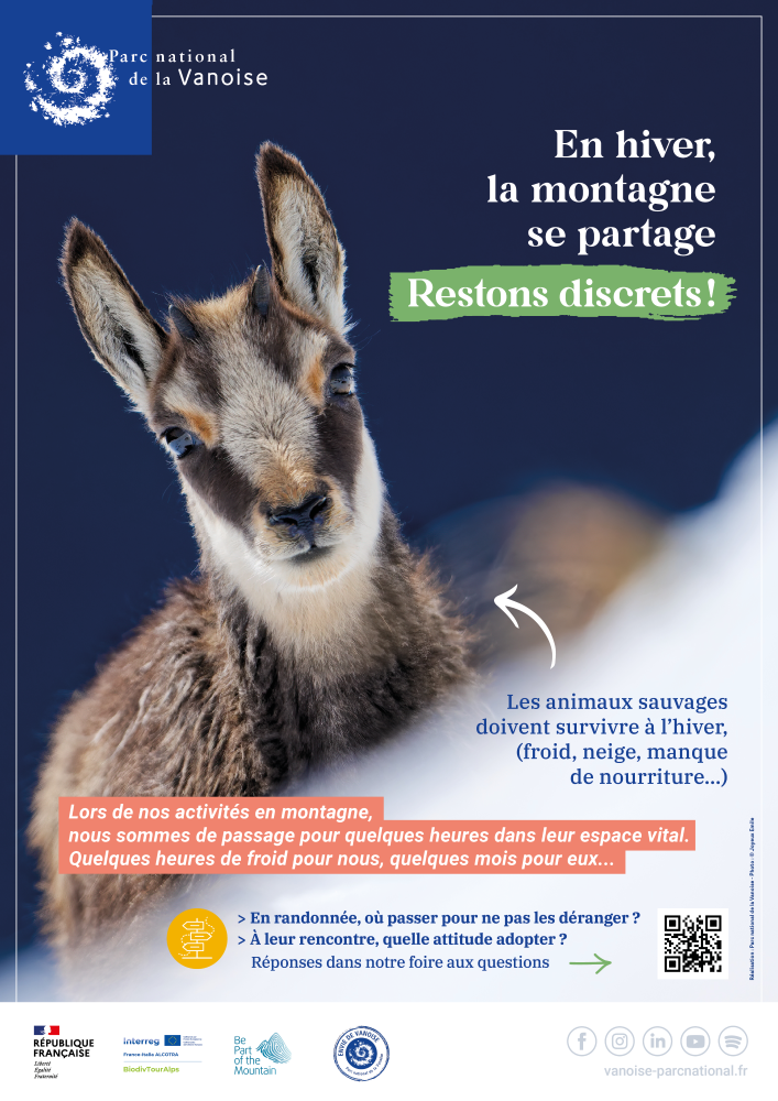 Affiche quiétude hivernale