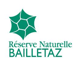 Logo RNN Bailletaz