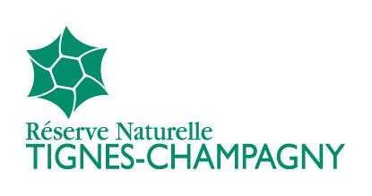 Logo RNN Tignes-Champagny
