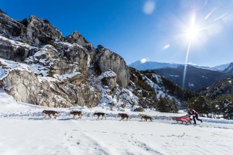 La Grande Odyssée Royal Canin - Un attelage lors de l'étape Aussois
