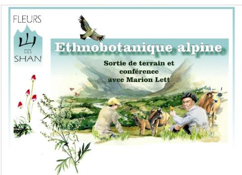 Sortie ethnobotanique Parc national de la Vanoise - Sortie ethnobotanique Parc national de la Vanoise