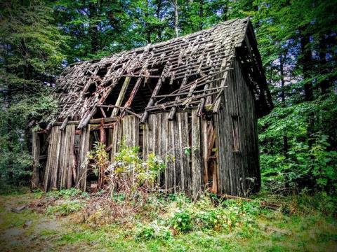 En mode survie : construction d'abri_Aussois - Vieille cabane dans les bois