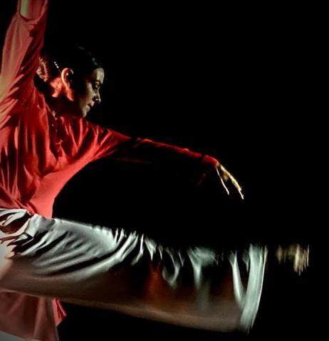 Spectacle de Danse "Wilfried"_Peisey-Nancroix