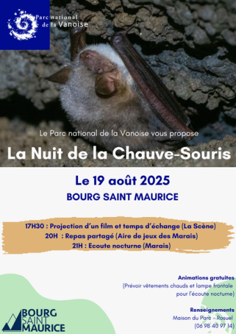 La nuit des chauve-souris : projection puis observation_Bourg-Saint-Maurice - La nuit des chauve-souris