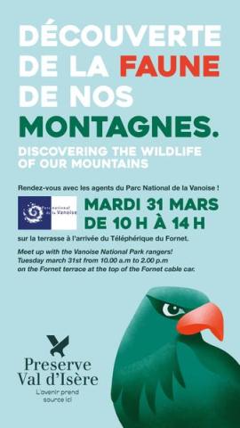 Affiche découverte de la faune de nos montagnes - Affiche découverte de la faune de nos montagnes
