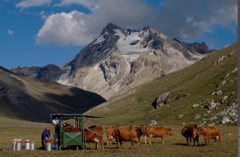 Exposition "Le Pastoralisme en Vanoise"_Val-Cenis
