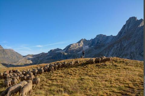 Exposition "Le Pastoralisme en Vanoise"_Val-Cenis