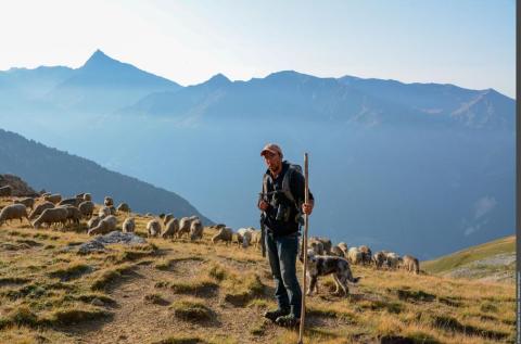 Rencontres pasto_Val-Cenis - PARC NATIONAL VANOISE