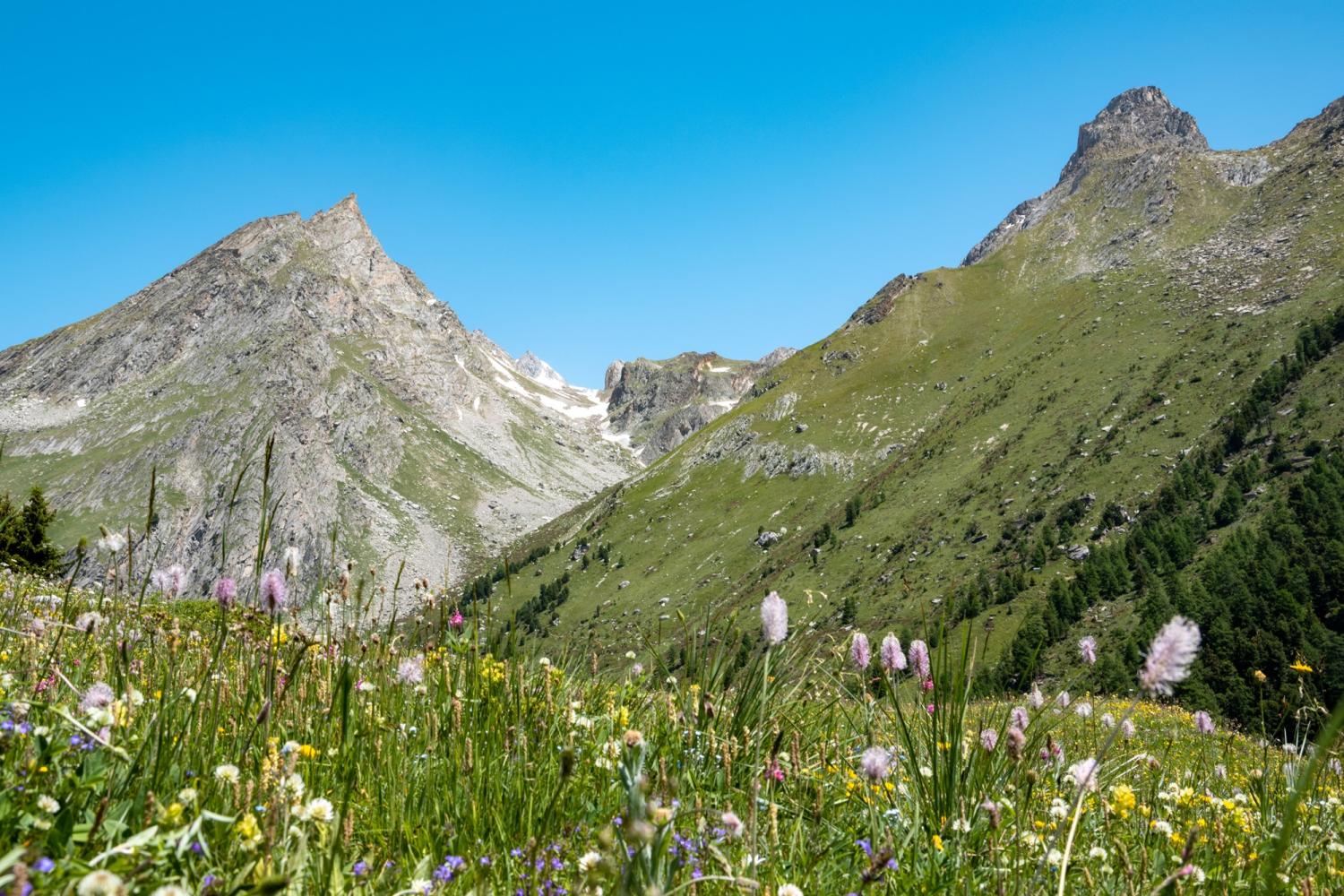 Vallon de l'Orgère