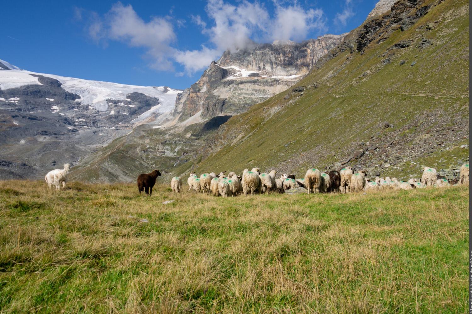 3pnv019849-PN-Vanoise-Guy-noel_Grosset-2000px.jpg 