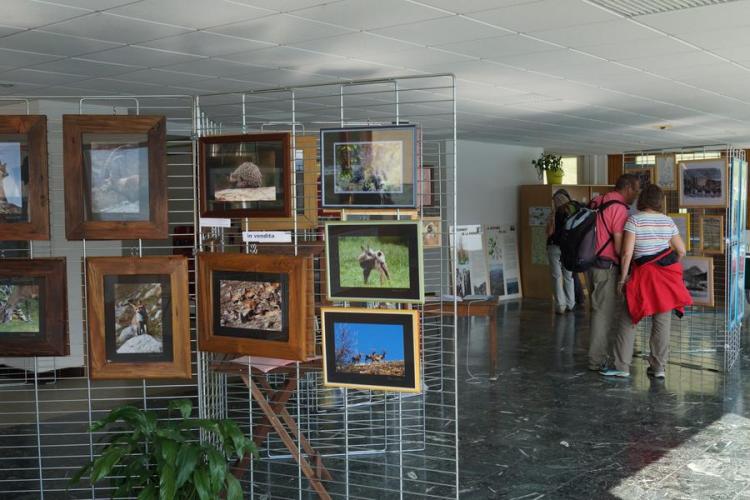 La Maison franco-italienne du Mont Cenis, lieu d'information et d'exposition - Exposition-vente de photos animalières