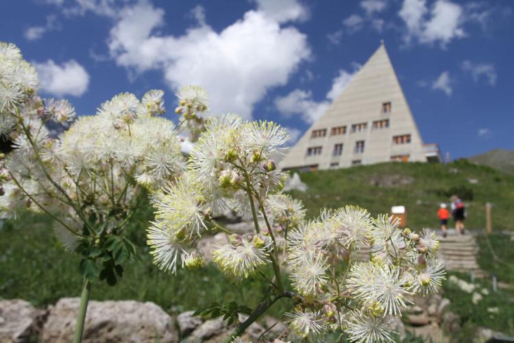 val-cenis-jardin-alpin - Le Jardin Alpin et la Pyramide du Mont Cenis à Val Cenis