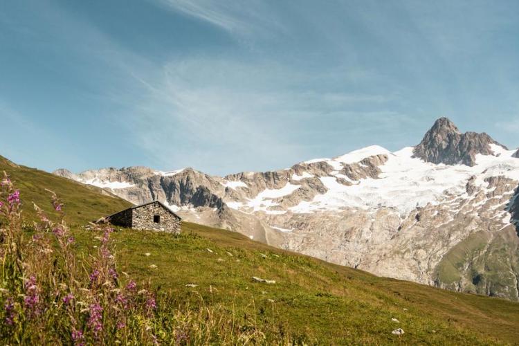 La vallée des Glaciers et l'Aiguille des Glaciers - La vallée des Glaciers et l'Aiguille des Glaciers