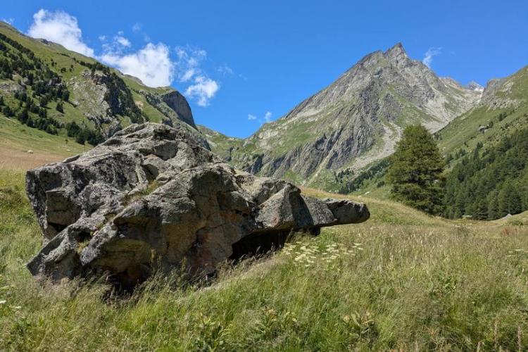 Chasse aux trésors - Vallon de l'Orgère