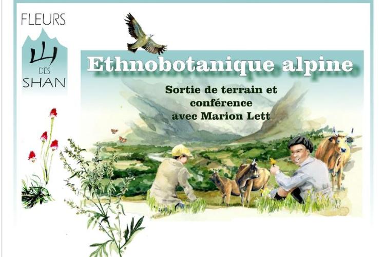 Sortie ethnobotanique Parc national de la Vanoise - Sortie ethnobotanique Parc national de la Vanoise