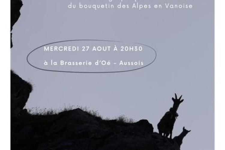 Rencontre - Conférence : Suivi du bouquetin des Alpes en Vanoise_Aussois - affiche de l'évènement