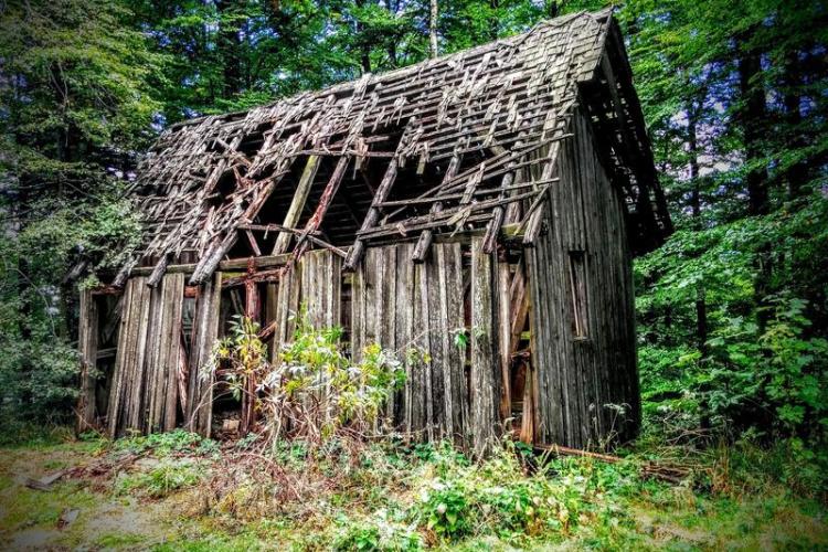 En mode survie : construction d'abri_Aussois - Vieille cabane dans les bois