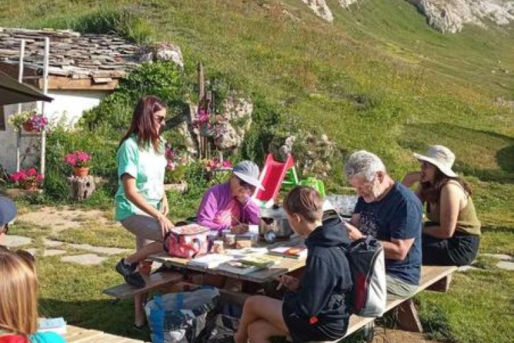 Plantes alpines d'hier et d'aujourd'hui à Val Cenis-Lanslevillard - Participants qui découvrent leur cueillette sur une table de pique-nique
