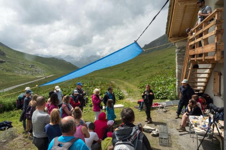 Vis ma vie de marmotte dans la Réserve naturelle de la Grande Sassière_Tignes
