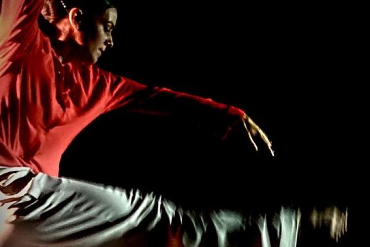 Spectacle de Danse "Wilfried"_Peisey-Nancroix