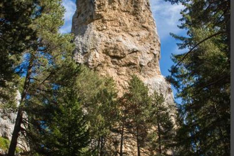 Les secrets de la forêt du Monolithe_Val-Cenis