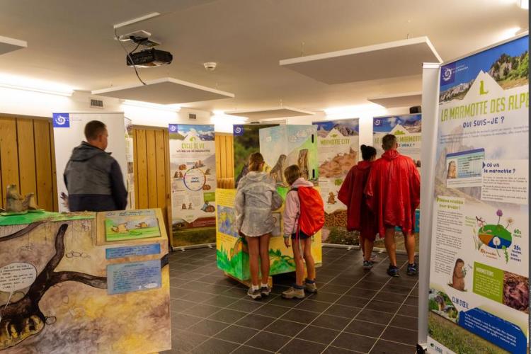 Visite commentée de l'exposition "La tribu des marmottes"_Val-Cenis - Visite commentée de l'exposition "La tribu des marmottes"