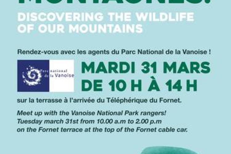 Affiche découverte de la faune de nos montagnes - Affiche découverte de la faune de nos montagnes